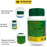  Đầu Trâu MK 501 Nảy chồi - Ra lá 