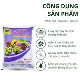  Đầu Trâu BĐ-MK NPK 15-7-17+TE 