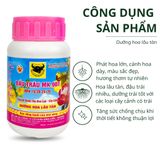  Đầu Trâu MK 901 - Dưỡng hoa lâu tàn 
