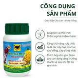 Đầu Trâu MK 501 Nảy chồi - Ra lá 
