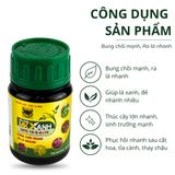  Đầu Trâu MK XANH NPK 10-8-6 +TE 