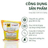  Đầu Trâu MK N.8 VSGAP.3 