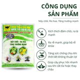  Đầu Trâu BĐ-MK NPK 16-16-8+TE 