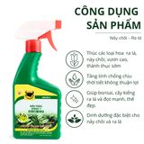  Đầu Trâu MK SPRAY 1 - Nảy chồi - ra lá 