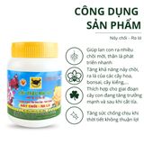  Đầu Trâu MK 501 Nảy chồi - Ra lá 