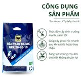  Đầu Trâu BĐ-MK NPK 20-10-10 