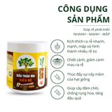  Đầu Trâu MK Siêu rễ 