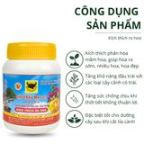  Đầu Trâu MK 701 - Kích ra hoa 