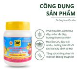  Đầu Trâu MK 901 - Dưỡng hoa lâu tàn 