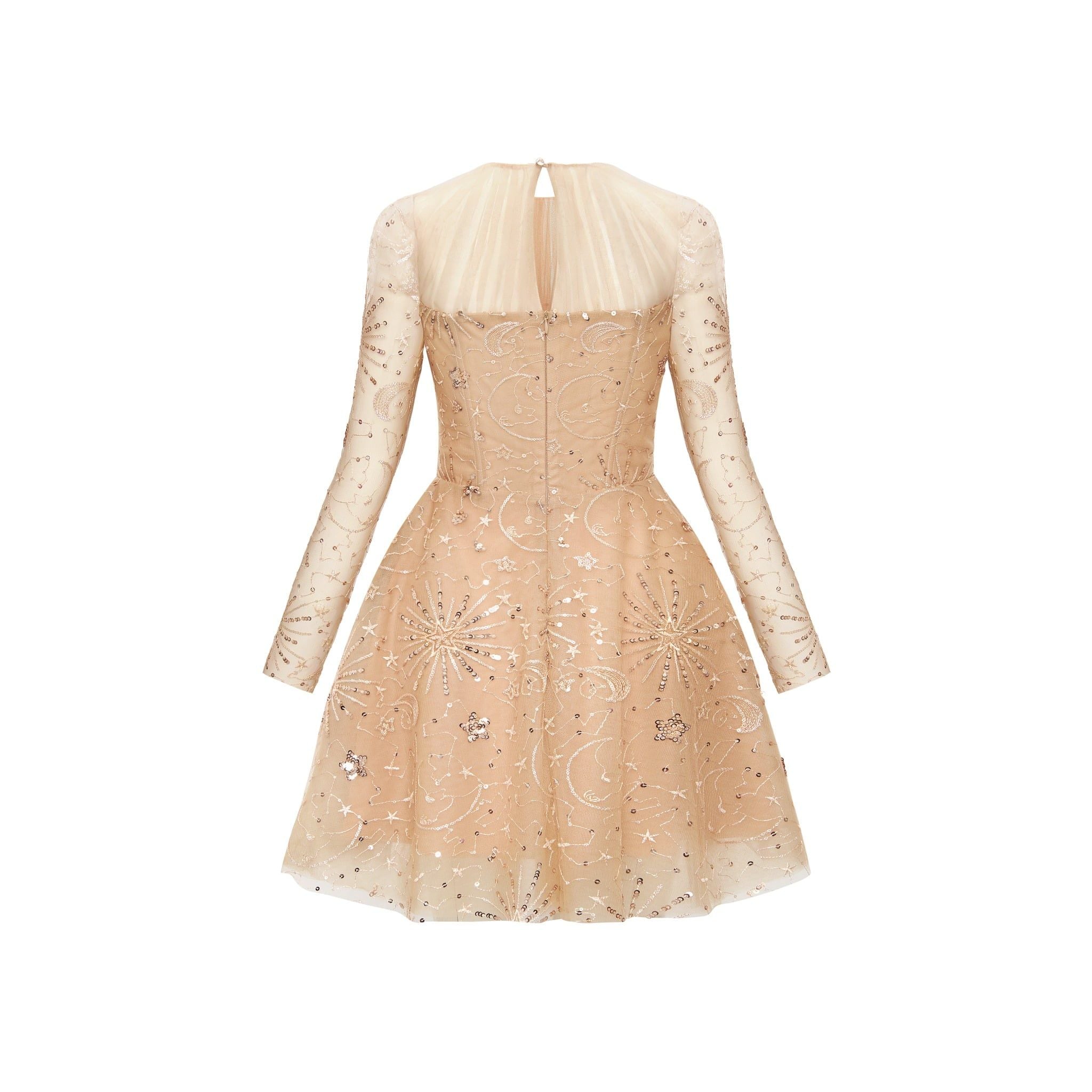  Aurelyn Star-Embroidered Tulle Mini Dress 
