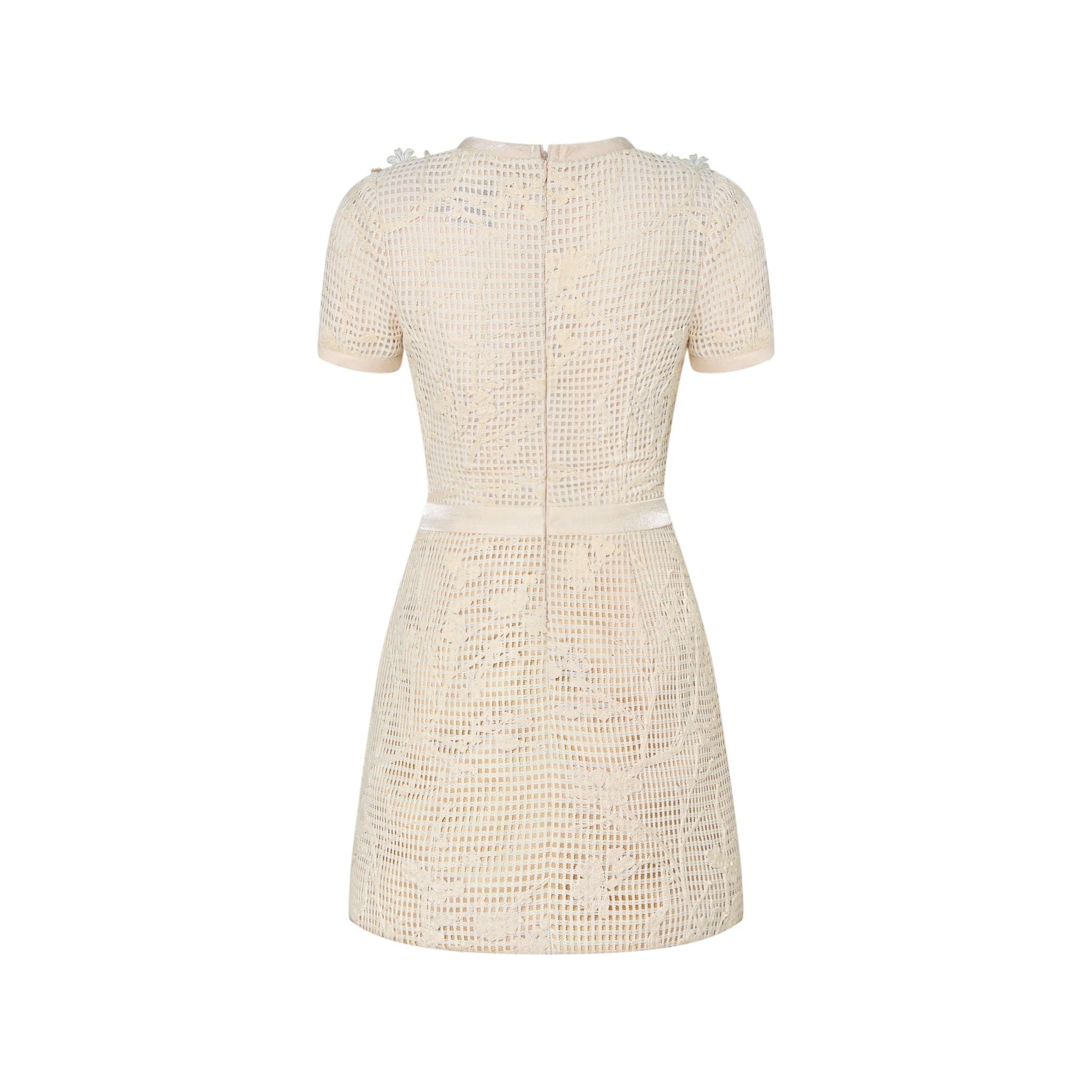 Margot Floral Lace Embellished Mini Dress 