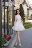  Swan Dress 