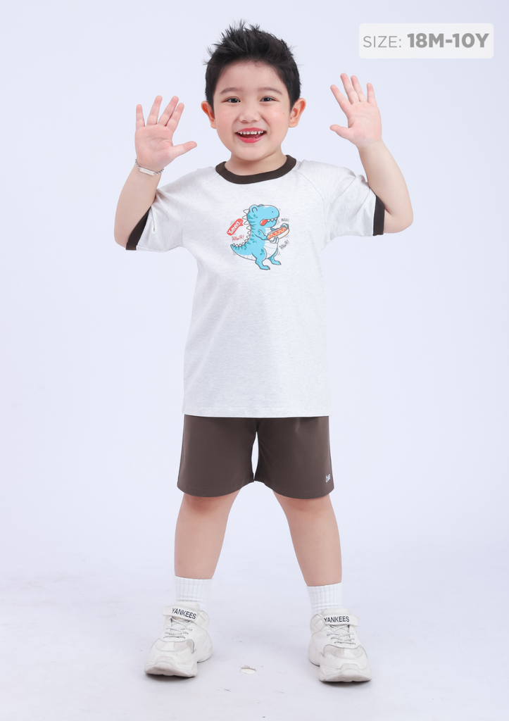 Đồ Bộ Ngắn Tay Bé Trai Xám Khủng Long Phối Nâu