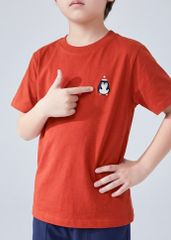 Áo Thun Form Rộng Bé Trai 210gsm Cam Thêu Cánh Cụt BC-AT30N-33