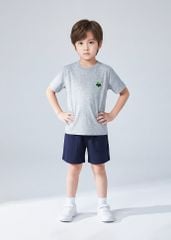 Áo Thun Form Rộng Bé Trai 210gsm Xám Thêu Cây Thông BC-AT30N-33