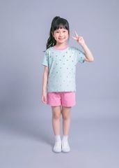 Bộ Thun Ngắn Tay Bé Gái Form Rộng Xanh Hoạ Tiết Dưa Hấu Phối Hồng