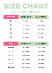 Set 3 Quần Chip Đùi Cotton Bé Trai Xám Phối