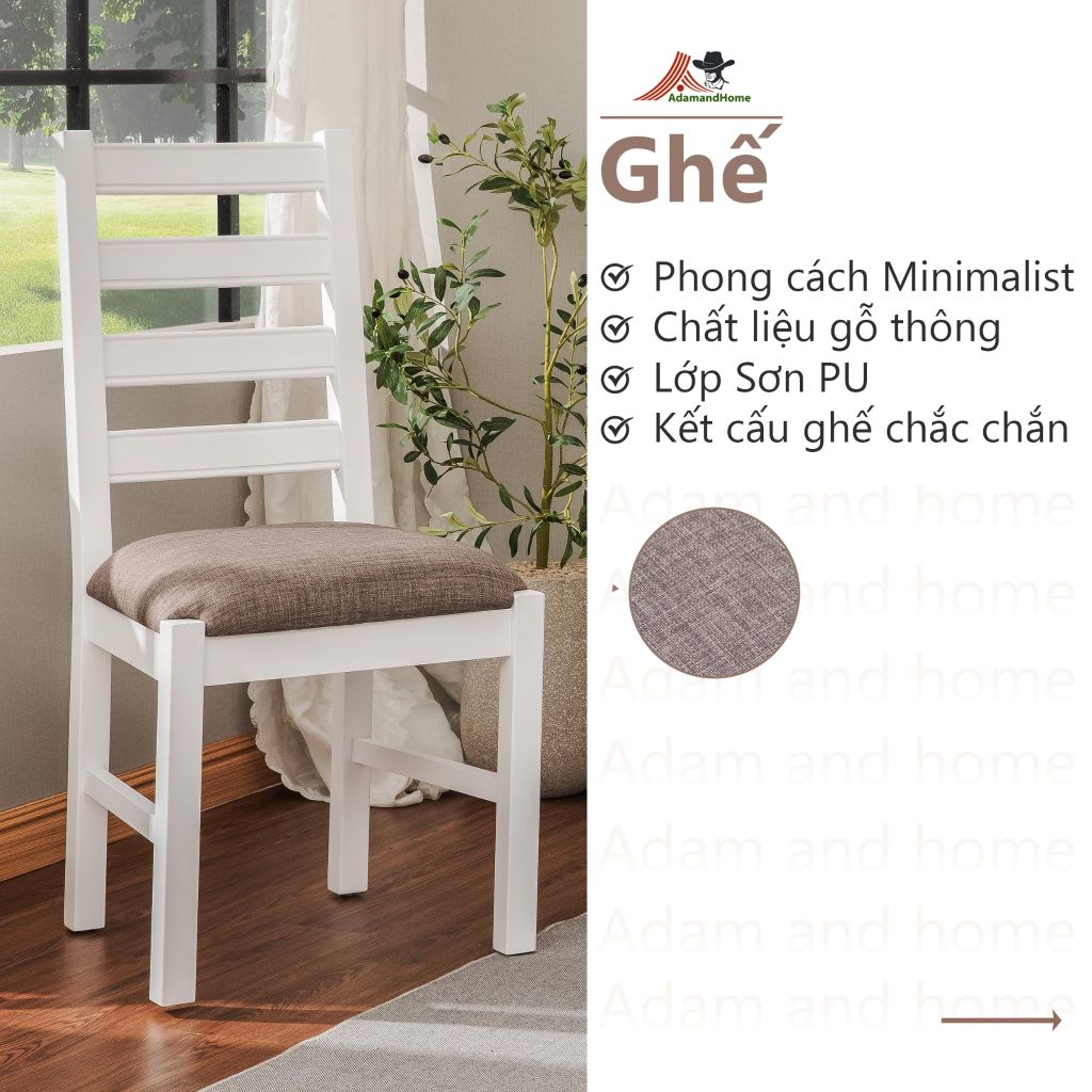 Bộ Bàn Ăn 6 Ghế Kèm Nệm và 1 Bàn 1m6 - Indoor Dining Set White With Cushion