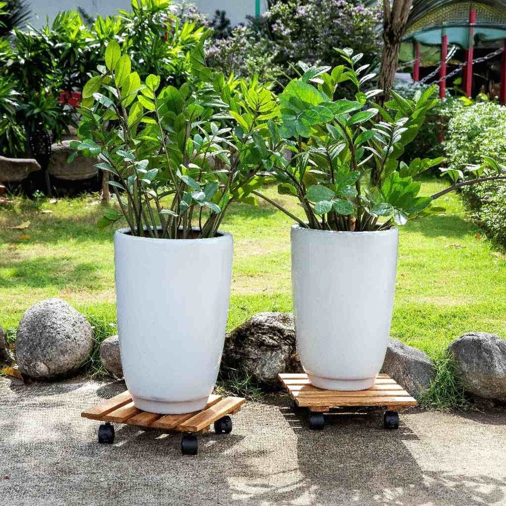 Combo 2 Đế Chậu Cây Vuông Có Bánh Xe – Square Wooden Plant Caddy
