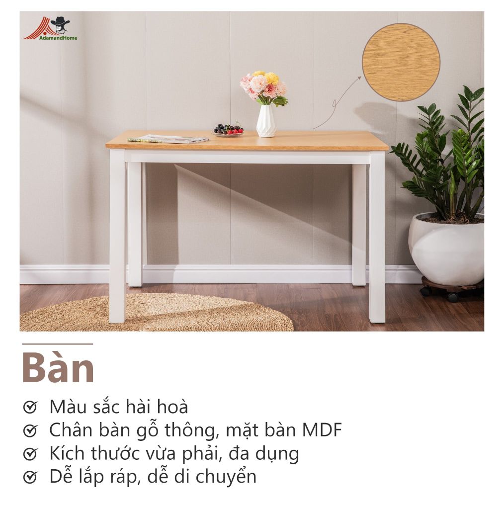 Bộ Bàn Ăn 6 Ghế Kèm Nệm và 1 Bàn 1m6 - Indoor Dining Set White With Cushion