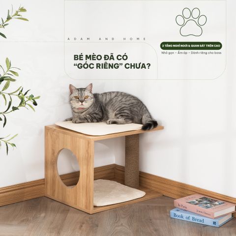  Nhà Mèo Kết Hợp Trụ Cào Móng - Cat Scratcher and Tree 