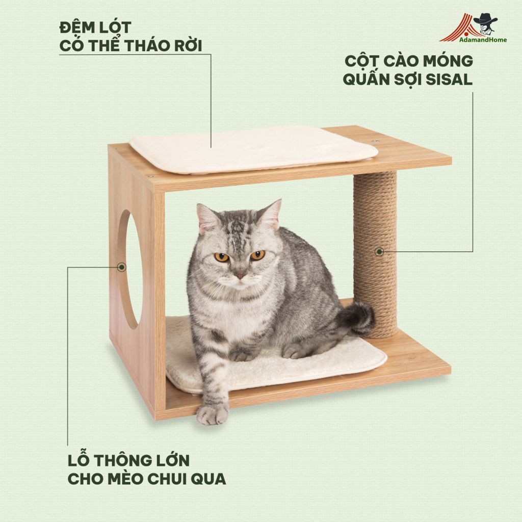 Nhà Mèo Kết Hợp Trụ Cào Móng - Cat Scratcher and Tree