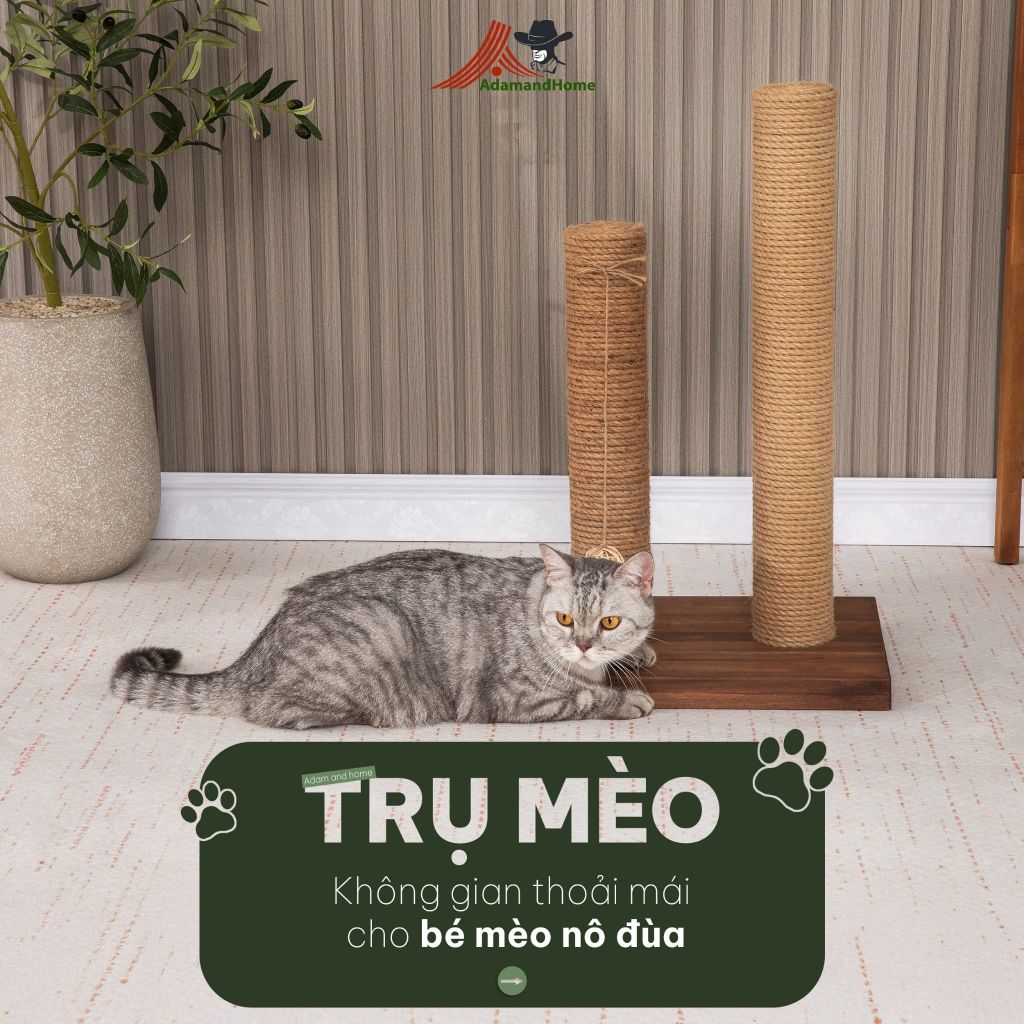 Trụ Cào Móng Mèo Đôi – Cat Scratching Double Post
