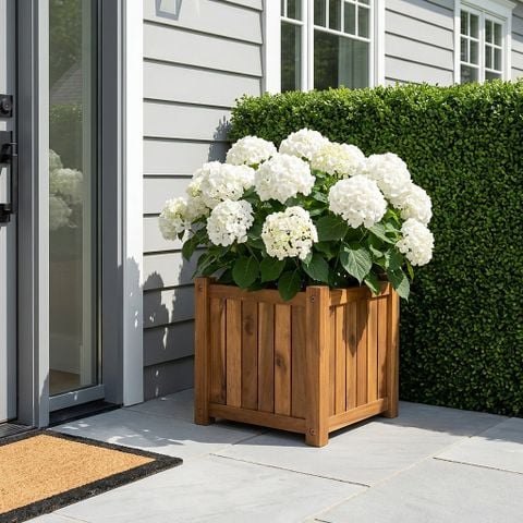  Chậu Hoa Gỗ Vuông - Flower Box 