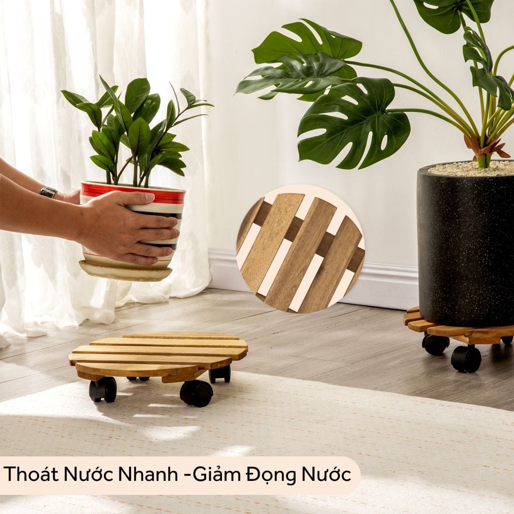 Combo 2 Đế Chậu Cây Tròn Có Bánh Xe – Caddy Round