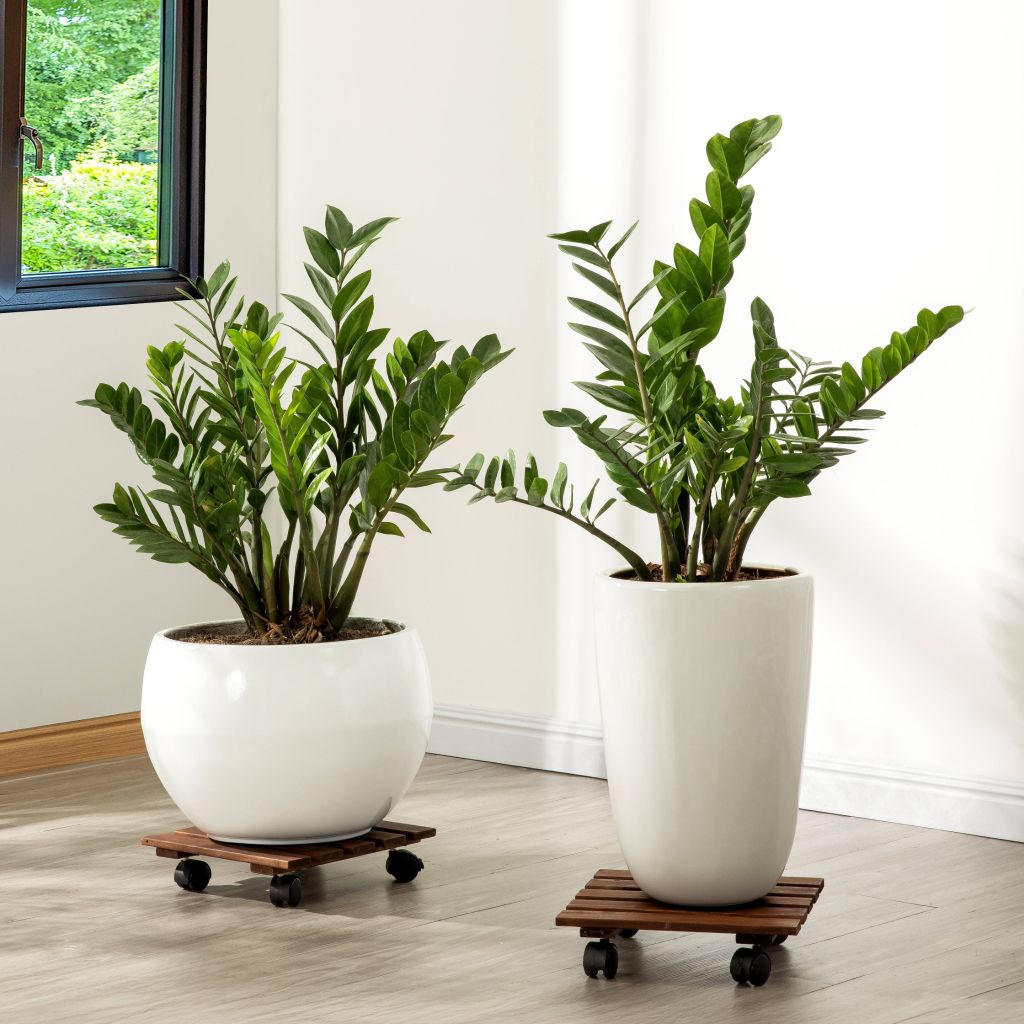 Combo 2 Đế Chậu Cây Vuông Có Bánh Xe – Square Wooden Plant Caddy
