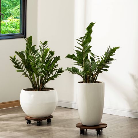  Combo 2 Đế Chậu Cây Tròn Có Bánh Xe – Caddy Round 