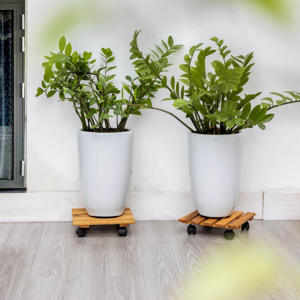 Combo 2 Đế Chậu Cây Vuông Có Bánh Xe – Square Wooden Plant Caddy