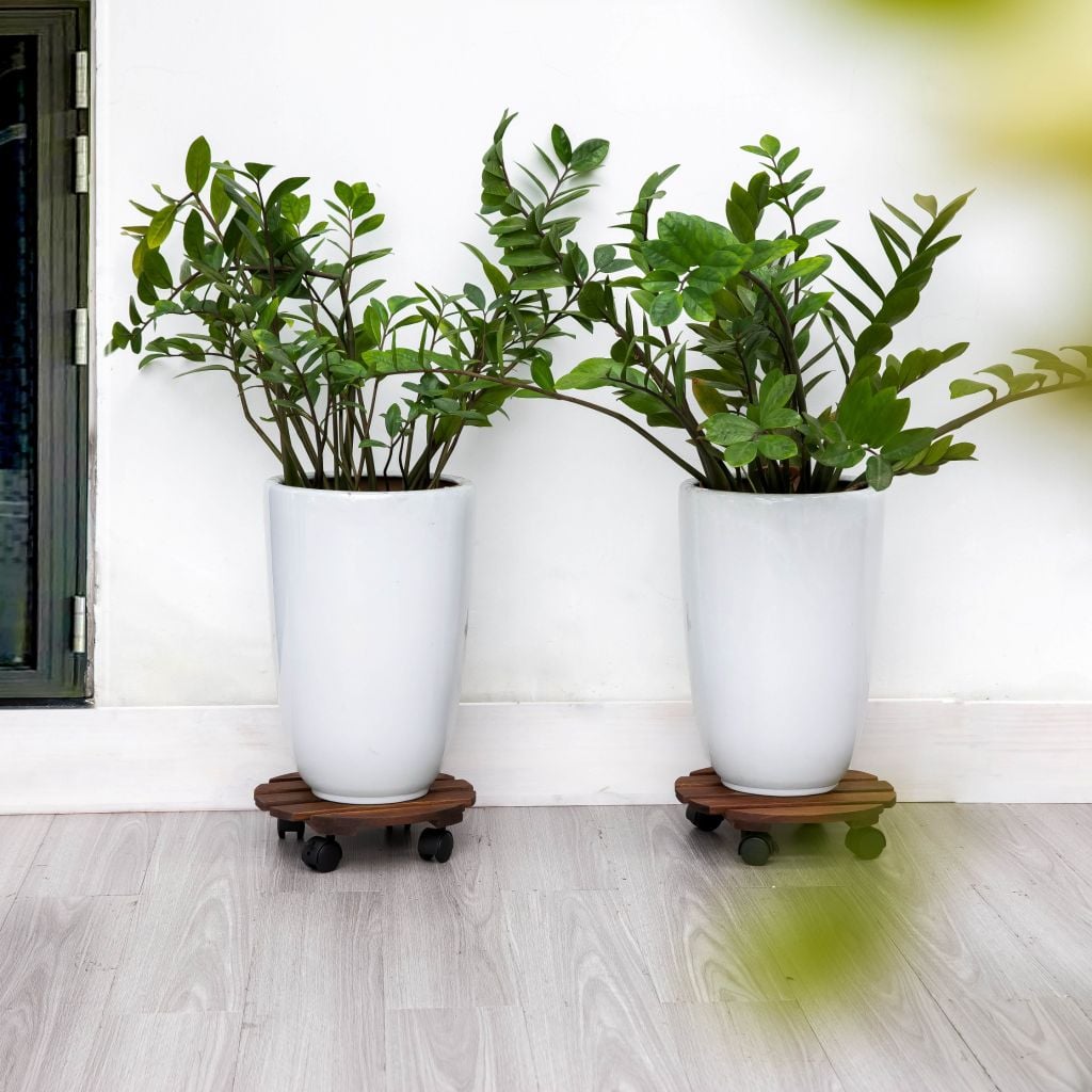 Combo 2 Đế Chậu Cây Tròn Có Bánh Xe – Caddy Round