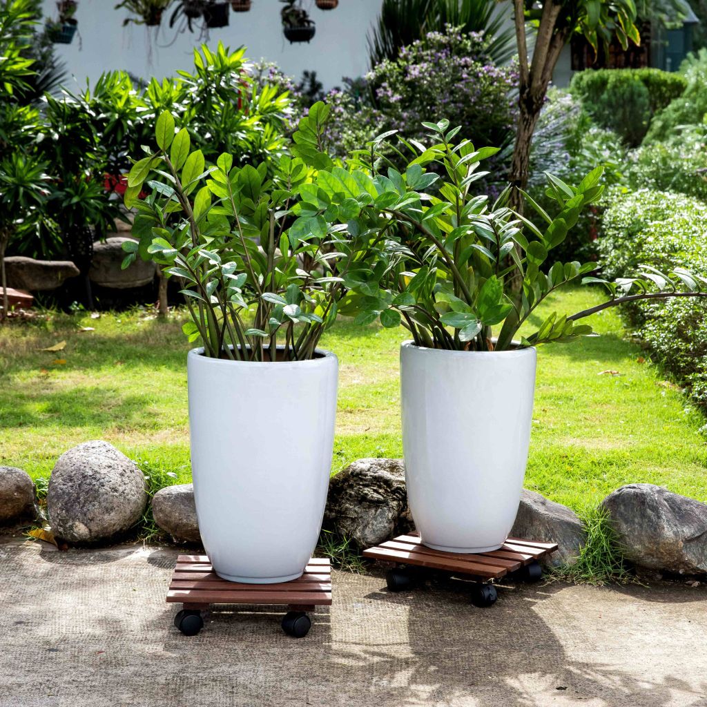 Combo 2 Đế Chậu Cây Vuông Có Bánh Xe – Square Wooden Plant Caddy