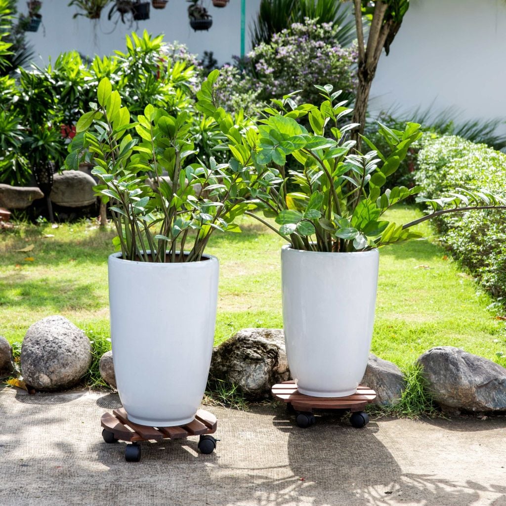 Combo 2 Đế Chậu Cây Tròn Có Bánh Xe – Caddy Round