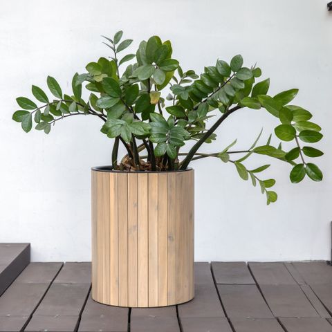  Chậu Trồng Cây Tròn - Cylinder Planter Box 