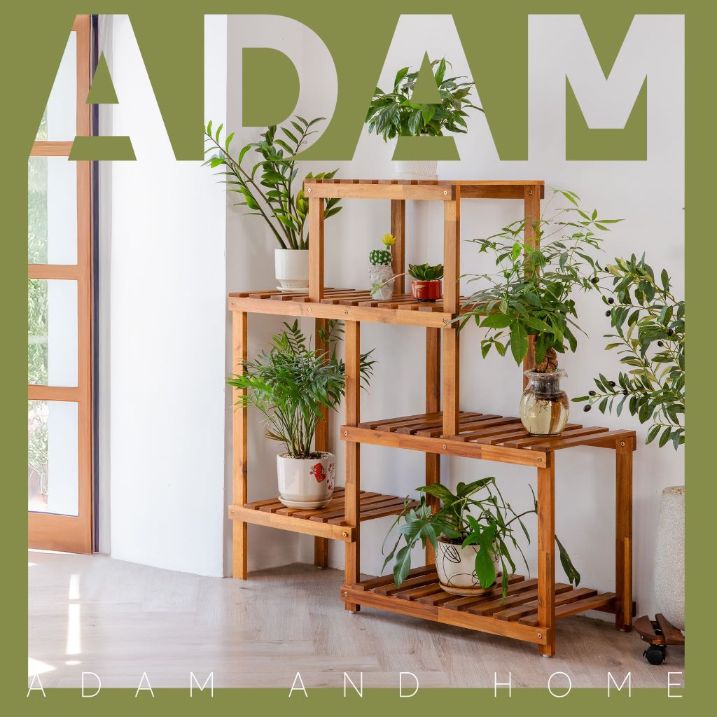 Kệ Gỗ Nhiều Tầng Decor - Multi-tiered Wooden Shelf Decor