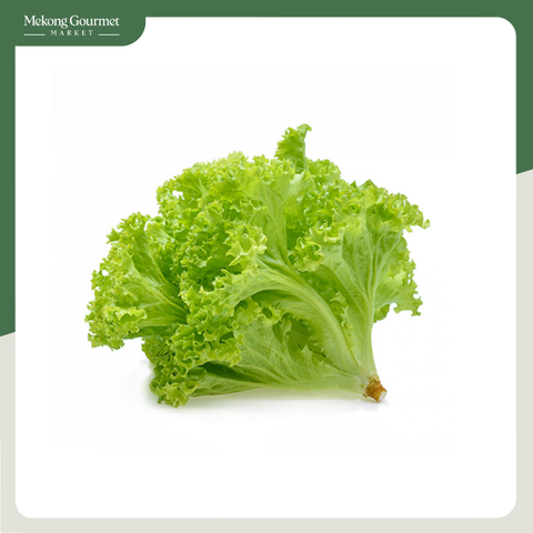 Xà Lách Carol Kamereo 300g