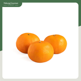 Quýt NĐT Citrus Size 42