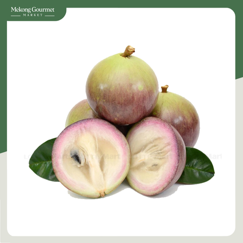 Vú Sữa Bơ Hồng