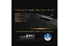 Bếp từ BlueStone ICB-6948