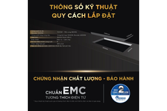 Bếp từ BlueStone ICB-6869