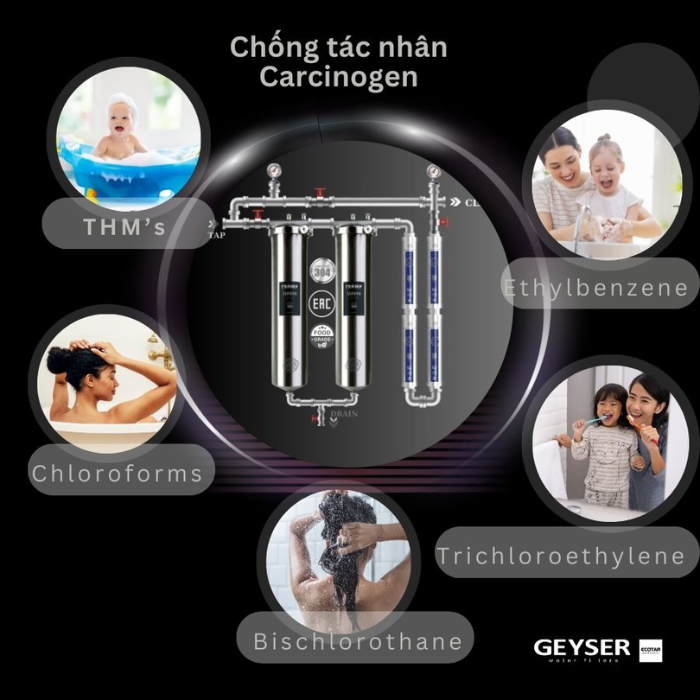 Hệ thống lọc tổng đầu nguồn Geyser Ecotar 2F4A