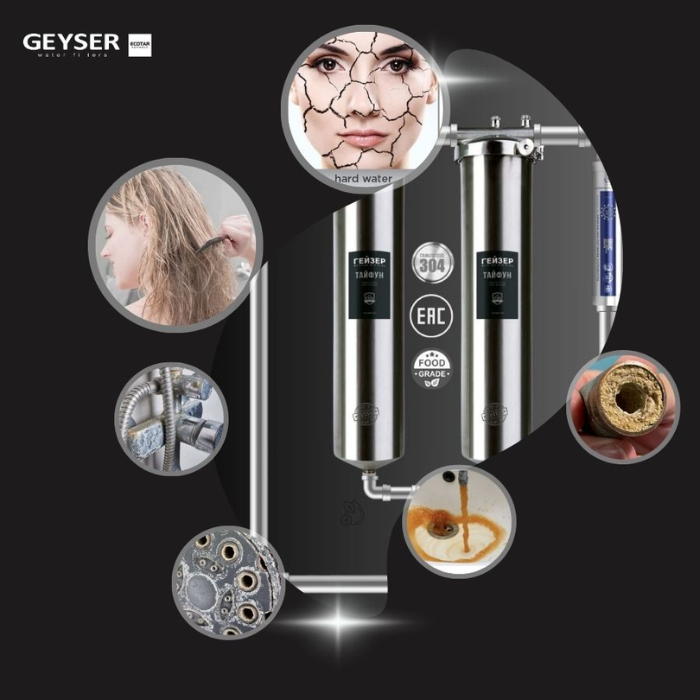 Hệ thống lọc tổng đầu nguồn Geyser Ecotar 2F1A