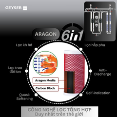 Hệ thống lọc tổng đầu nguồn Geyser Ecotar 2F4A