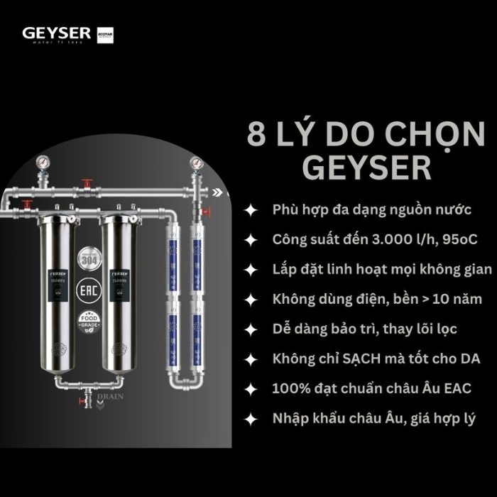 Hệ thống lọc tổng đầu nguồn Geyser Ecotar 2F4A