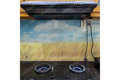 Bếp ga âm Rinnai RVB-2SCHi(SB)
