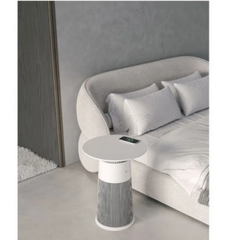 Máy lọc không khí LG PuriCare AS20GPWU0