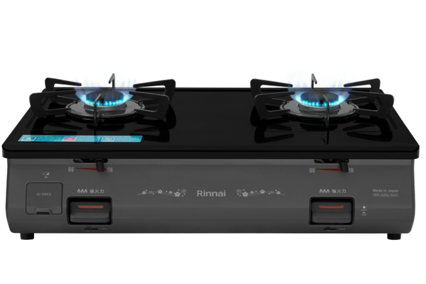 Bếp gas Rinnai RJ-69EG