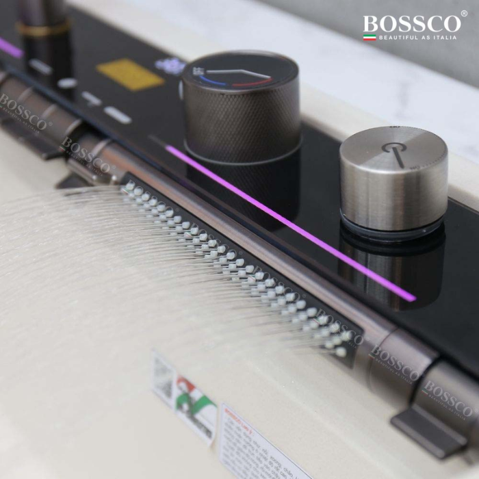 Chậu Rửa Chén Bossco BC-C8652TKS 1 hộc trắng kim sa